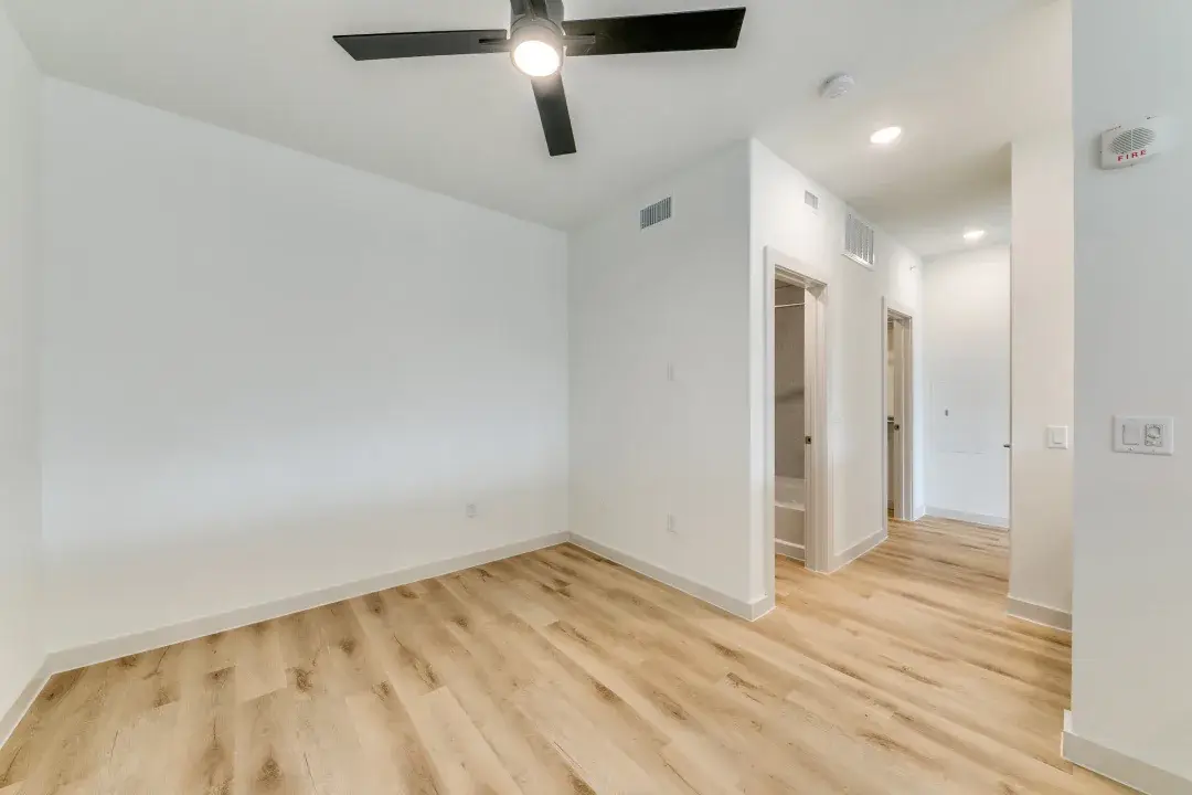 Bedroom with a matte black ceiling fan, wood-style floors and doorways to the walk-in closet and en-suite bath
