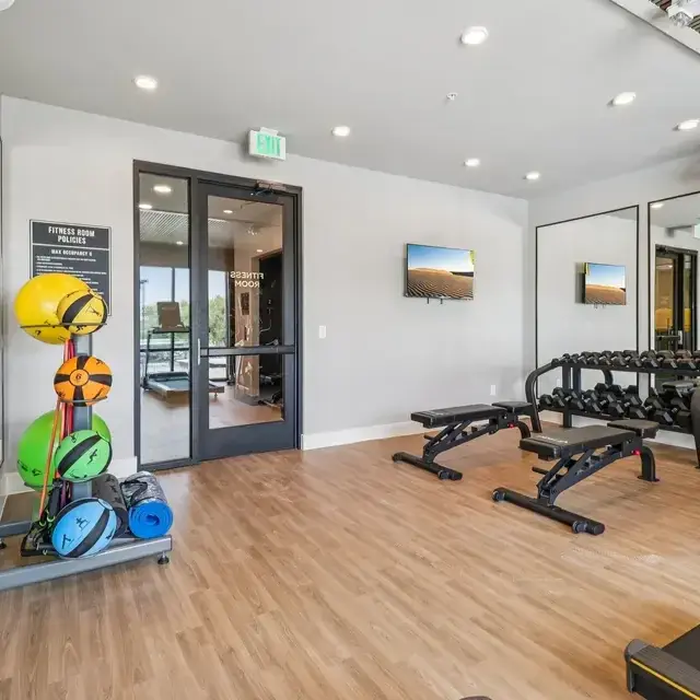 Fitness room with adjustable benches, dumbbell rack, colorful medicine balls, mirrors, and wall-mounted TVs