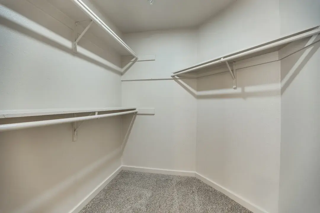 Walk-in closet with white shelving on three walls and carpeted flooring