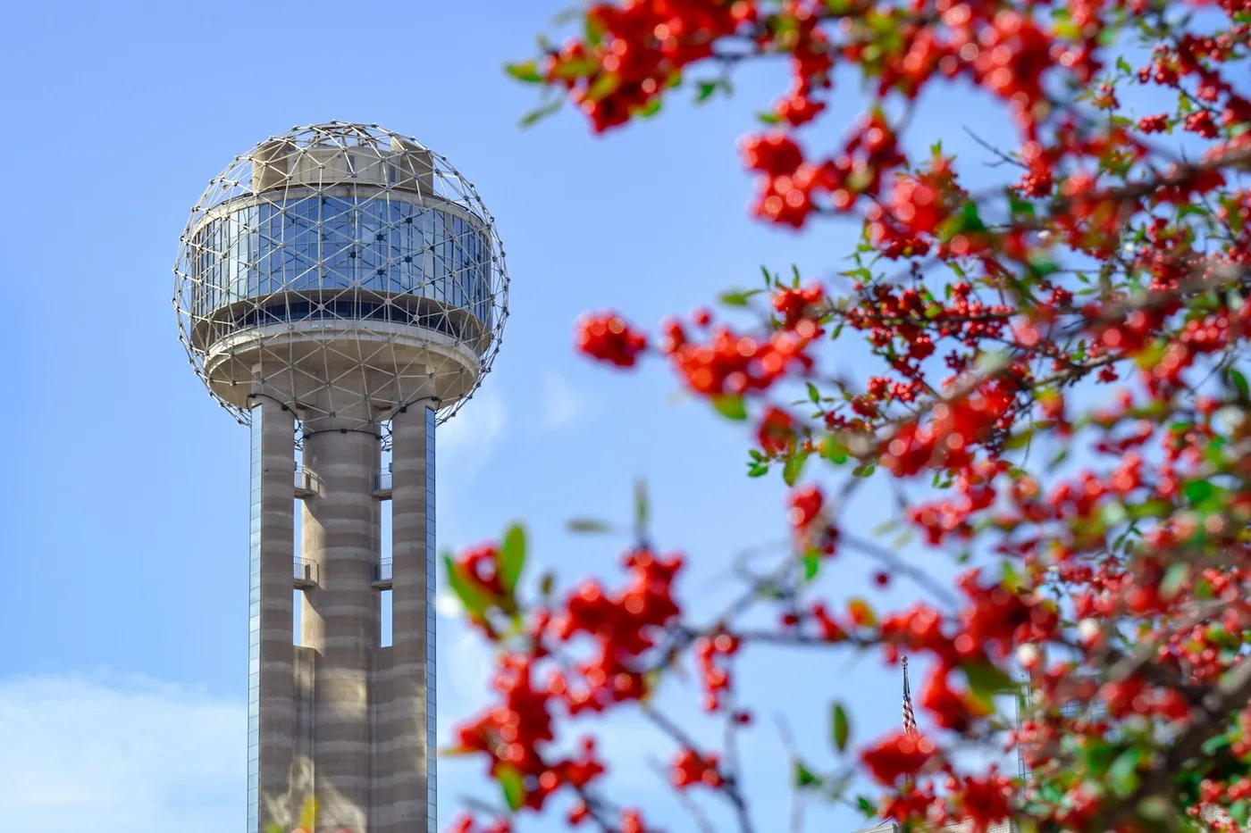 Reunion Tower and the downtown Dallas skyline framed by spring blossoms, minutes from Bishop Ridge