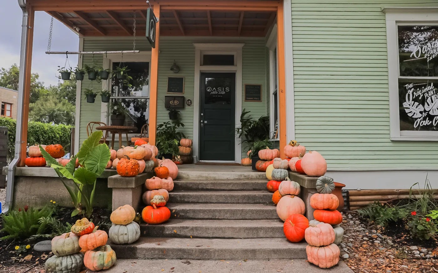 Pumpkins stacked on the front steps of a plant shop porch in Oak Cliff